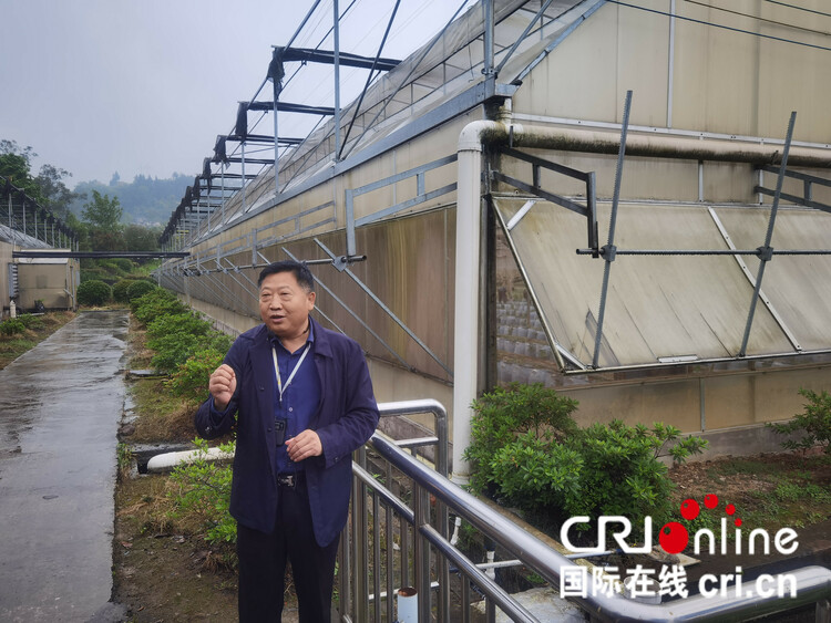 重庆万州区甘宁镇积极发挥资源优势 大力发展现代农业产业体系_fororder_02