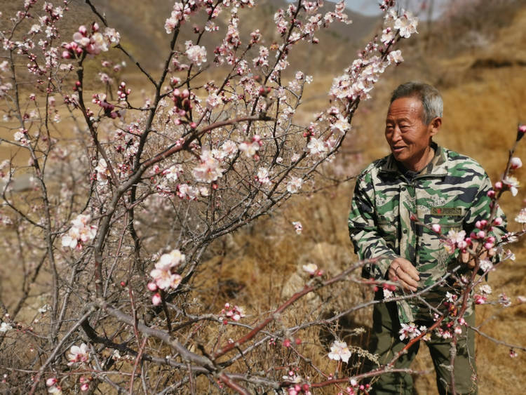 图片默认标题_fororder_图片138