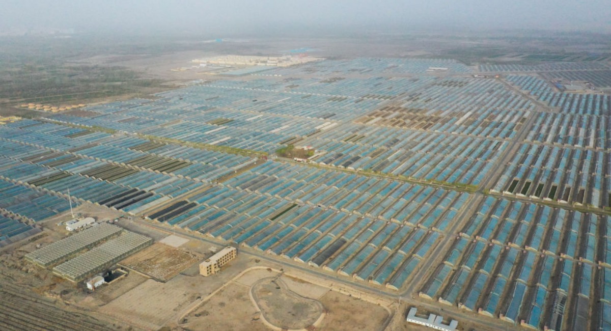 昔日戈壁荒灘 今朝果蔬飄香——新疆設施農業高品質發展見聞
