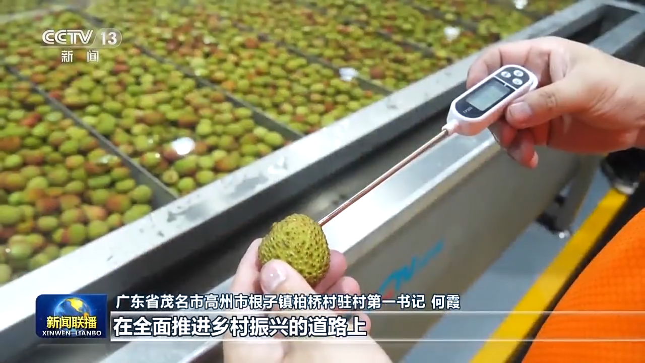 广东省茂名市高州市根子镇柏桥村驻村第一书记 何霞:总书记给我们产业