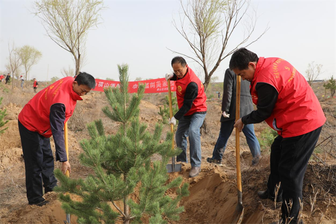 榆林市横山区：山水践初心 共植一株绿_fororder_图片10