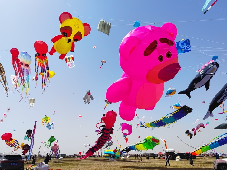 【原创】万千纸鸢漫天舞 第40届潍坊国际风筝会开幕_fororder_微信图片_20230416125721