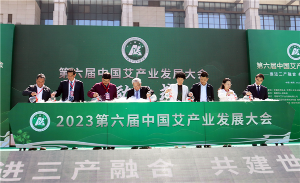 第六屆中國艾産業發展大會在河南南陽舉行_fororder_圖片26