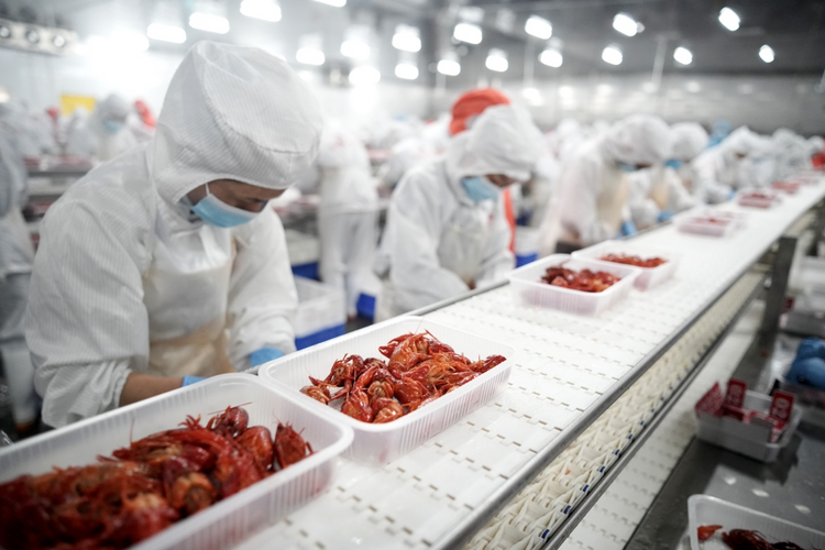 拼多多“农云行动”走进湖北潜江 网红小龙虾“云拼”加速度_fororder_图片3