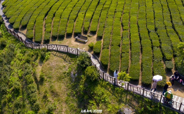 （中首）牢牢守好發展和生態兩條底線｜貴州全力以赴在生態文明建設上出新績