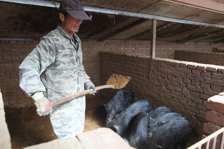 圖片默認標題_fororder_圖片38