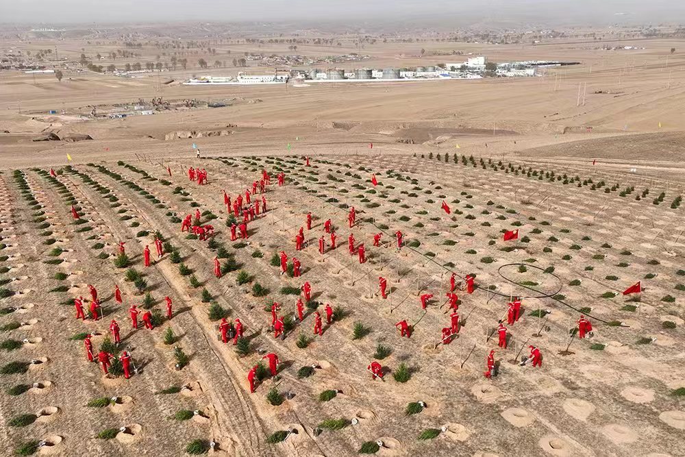 厚植绿色家底——长庆油田采油五厂再添新绿助力“碳中和”_fororder_微信图片_20230417173018