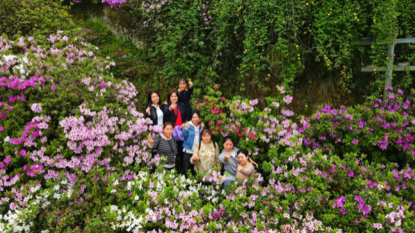 【原創】重慶雲陽:杜鵑盛開美如畫_fororder_圖片8(1)