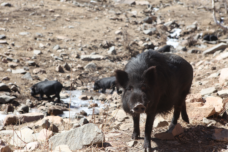 圖片默認標題_fororder_圖片36