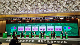 总投资5.2亿元 荆门东宝区栗溪镇乡村旅游新打卡地标即将“解锁”