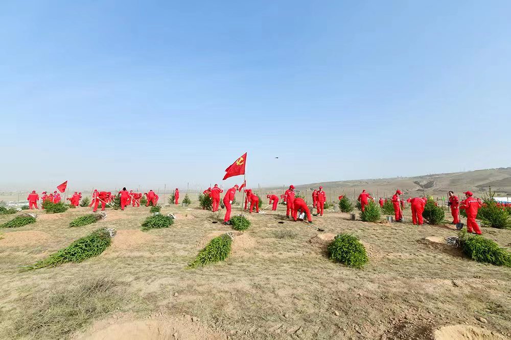 厚植绿色家底——长庆油田采油五厂再添新绿助力“碳中和”_fororder_微信图片_20230417173024