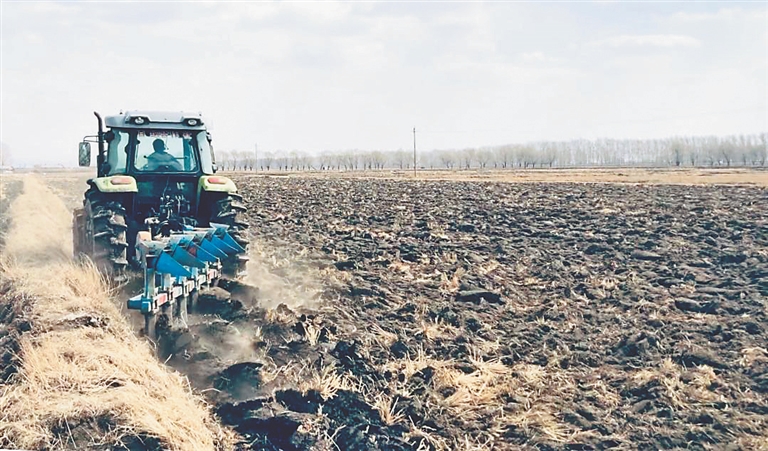 哈尔滨五常：251.1万亩水稻育苗完成
