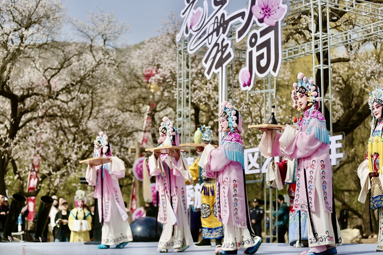 内蒙古回民区：“杏福树下”共绘文旅高质量发展蓝图_fororder_IMG_8071