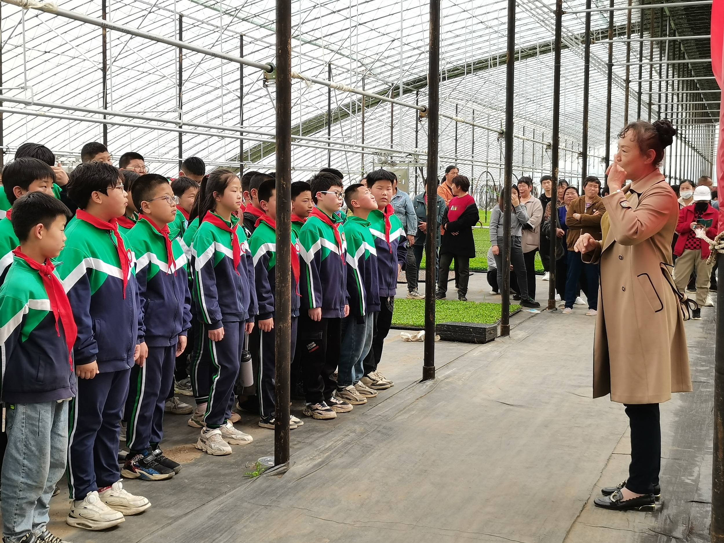 图片默认标题_fororder_3