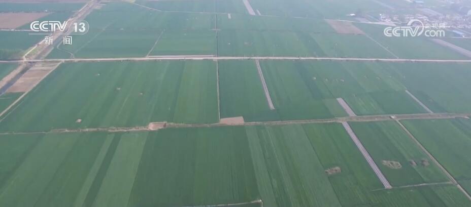 中央财政向实际种粮农民发放100亿元补贴资金 统筹支持春耕生产