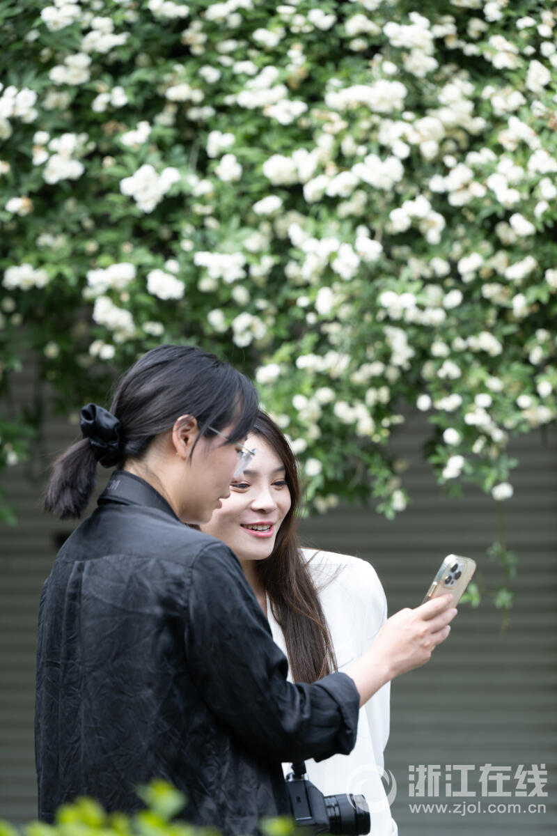 白木香花开如瀑_fororder_W020230418543042177856