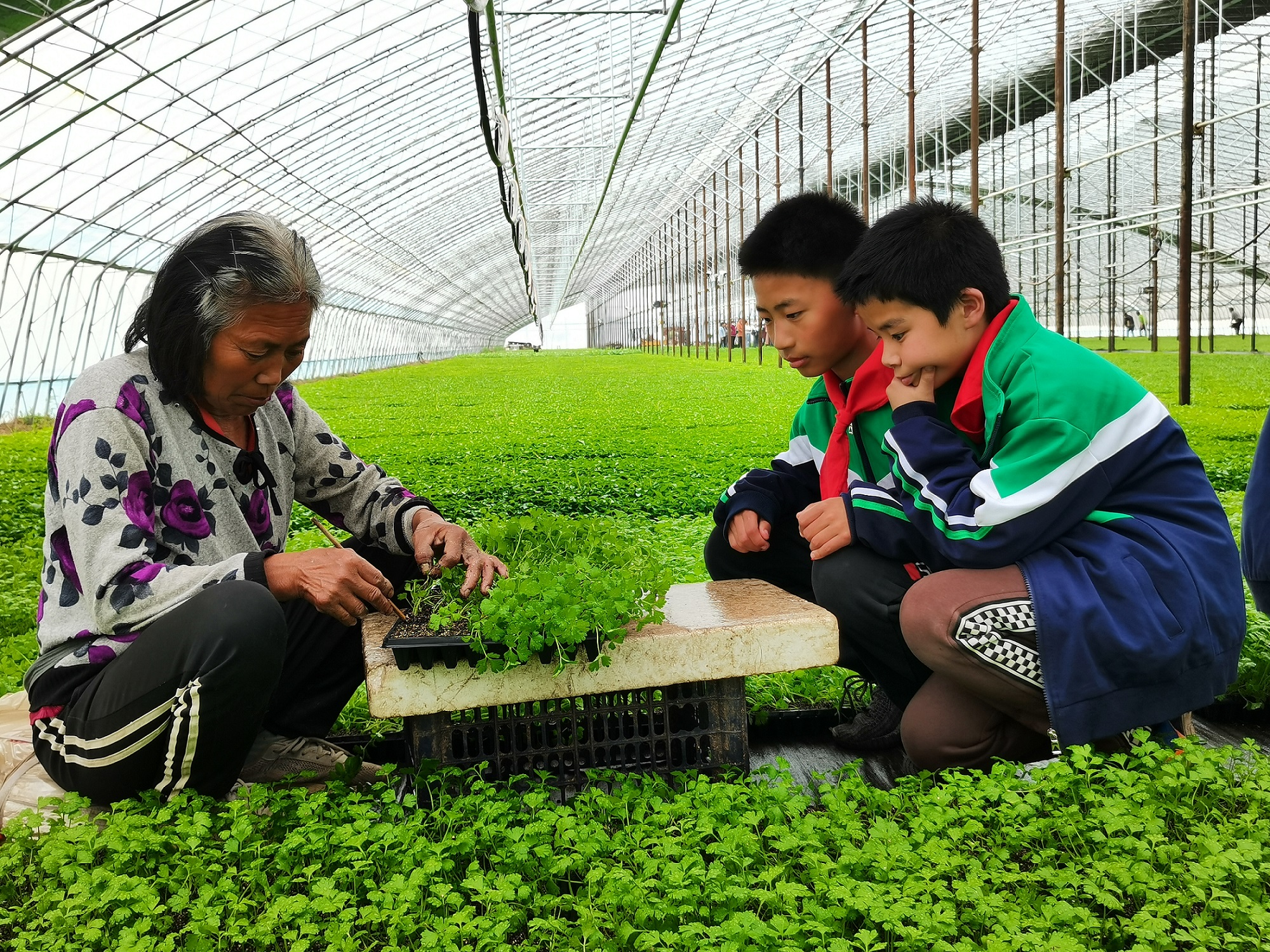 图片默认标题_fororder_2