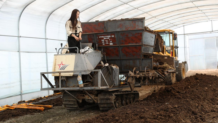 河北平泉：小蚯蚓串起生態循環産業鏈_fororder_圖片9