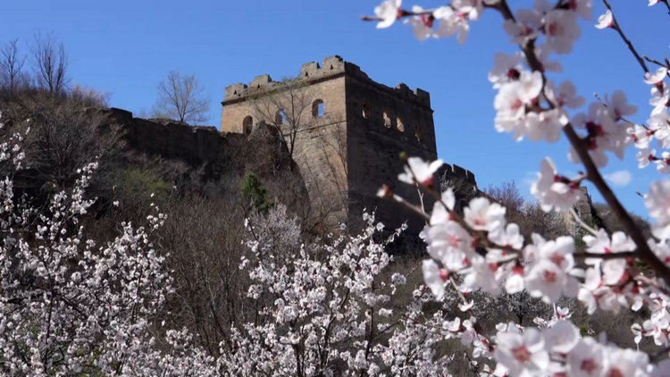 图片默认标题_fororder_图片56