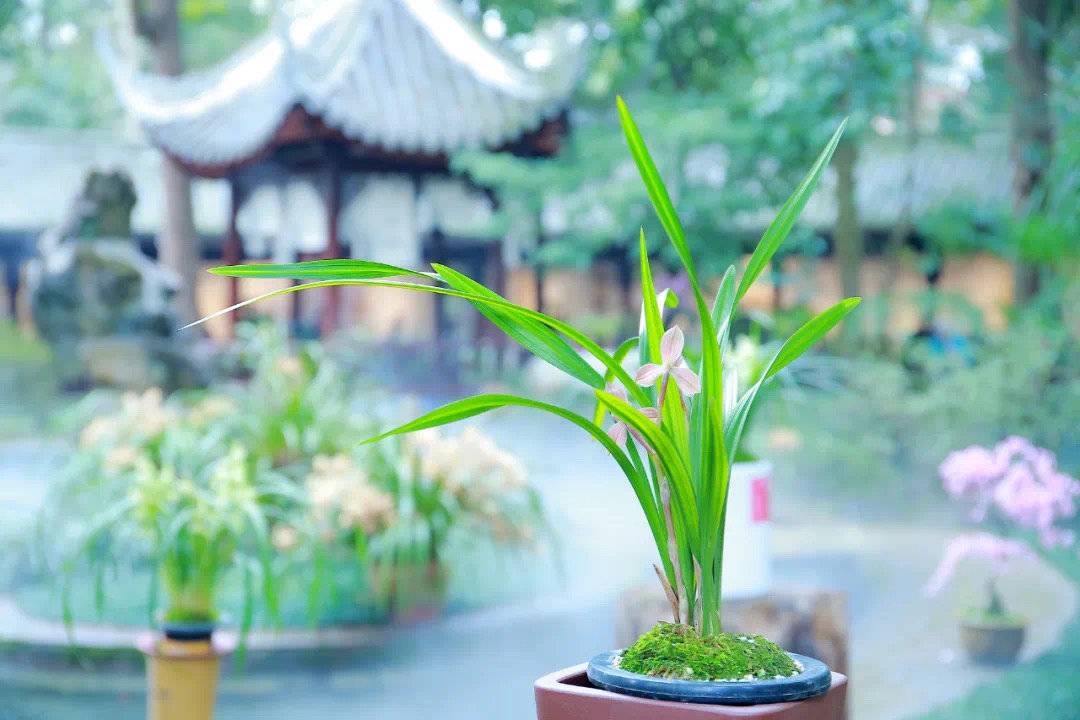 （转载）国际博物馆日，送你一份观展指南