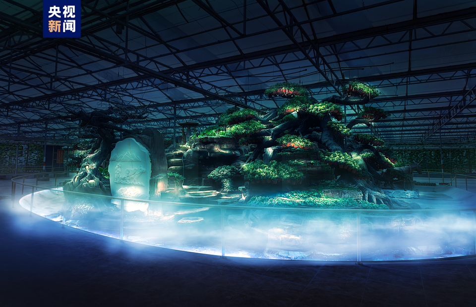 2000多个蔬菜品种亮相第二十四届中国（寿光）国际蔬菜科技博览会