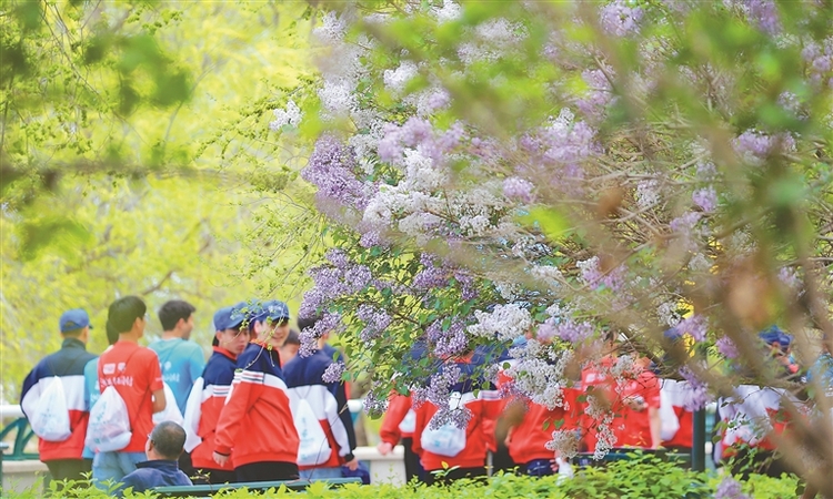 冰城初夏 生机盎然