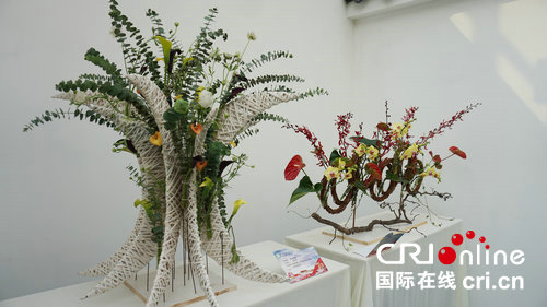 【河南原創】第十九屆中國·中原花木交易博覽會在許昌鄢陵開幕