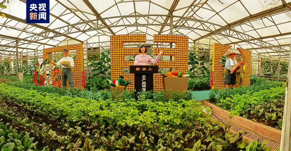 2000多个蔬菜品种亮相第二十四届中国（寿光）国际蔬菜科技博览会