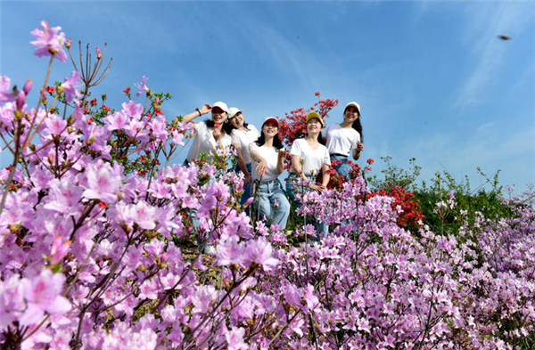 花地图斑斓 花经济绚烂 花花世界楚楚动人_fororder_04