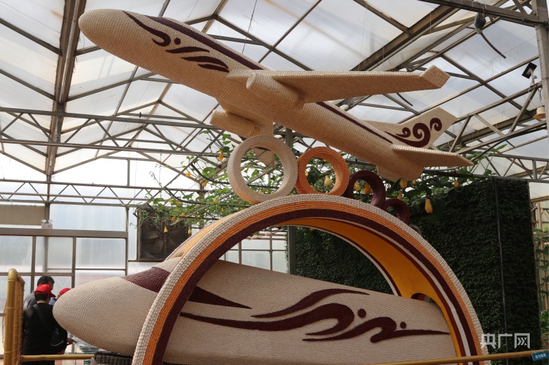 第二十四届中国（寿光）国际蔬菜科技博览会亮点纷呈