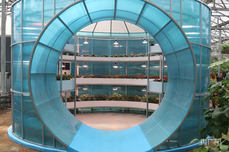 第二十四届中国（寿光）国际蔬菜科技博览会亮点纷呈