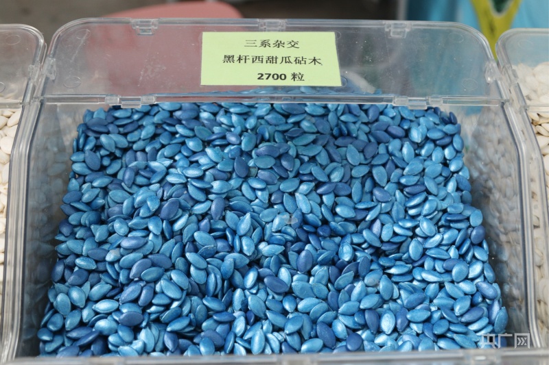 第二十四届中国（寿光）国际蔬菜科技博览会亮点纷呈