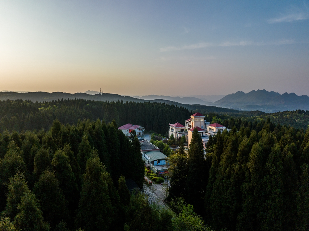 贵州毕节：森林旅游 绿色共享_fororder_2023年4月16日，在贵州省毕节市七星关区国家森林公园拱拢坪景区里拍摄的一景。 (11)