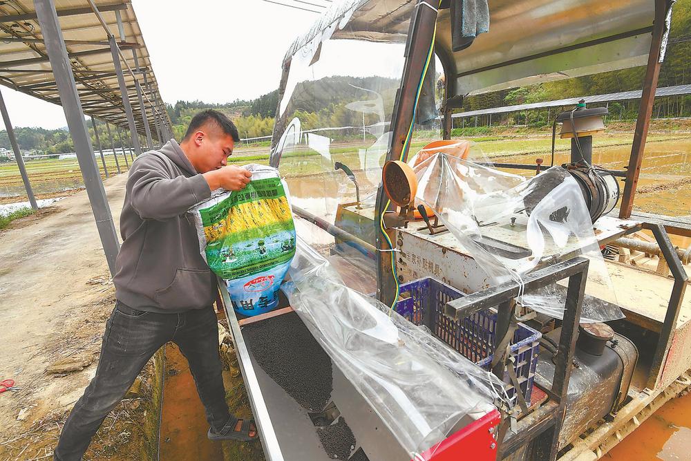 福建省各地田间地头一片繁忙 为全年丰收打下坚实基础_fororder_b60af0d0-8bf3-4d1b-8f90-74f3a2e80f7d