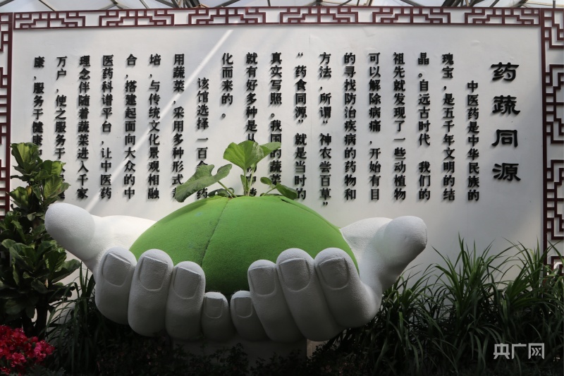 第二十四届中国（寿光）国际蔬菜科技博览会亮点纷呈