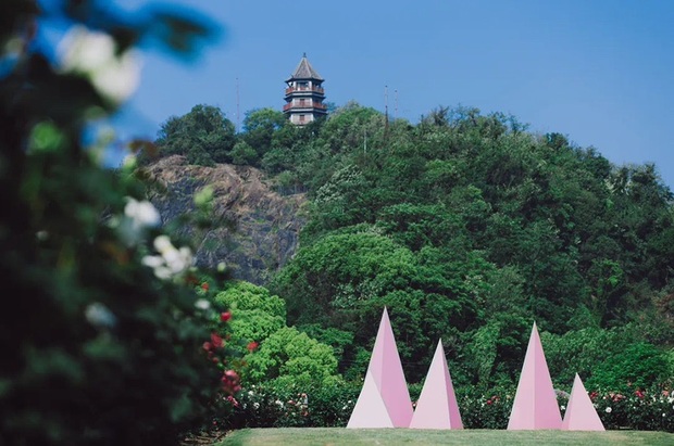 【文化旅遊-滾動圖】上海辰山植物園上新打卡點“海誓山盟” 拉滿浪漫氛圍感