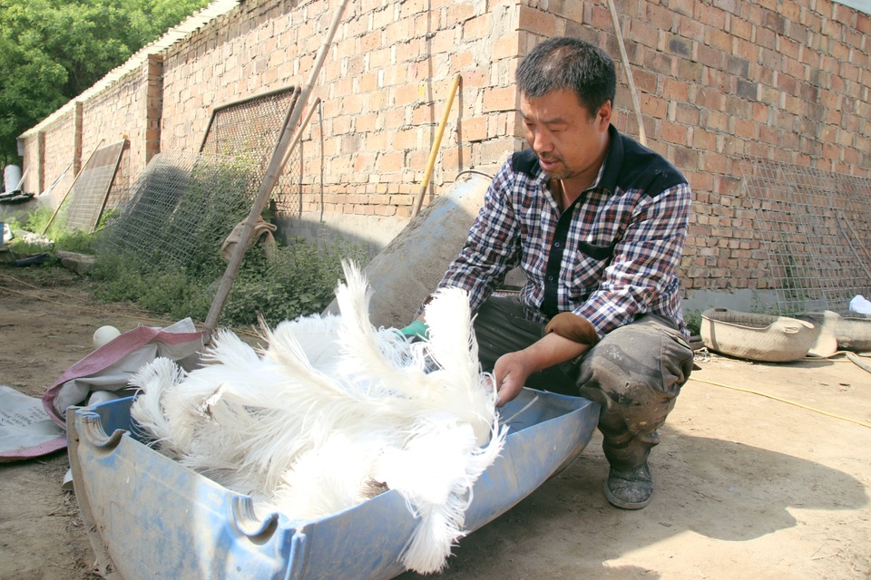 图片默认标题_fororder_4