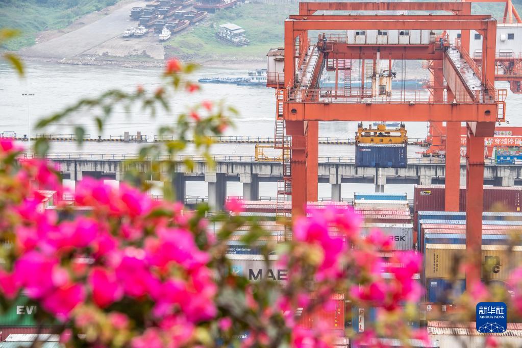【城市远洋】重庆果园港今年实现内外贸货物双增长