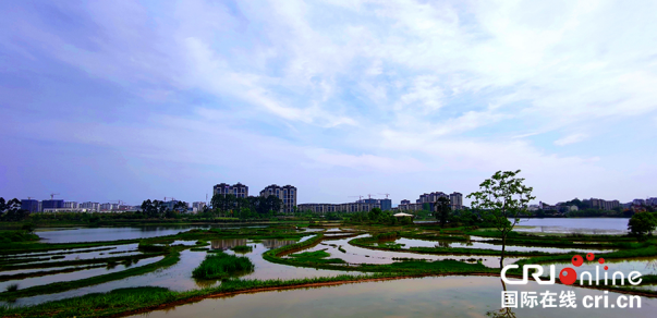 【原创】中国小微湿地创新联盟在重庆梁平成立_fororder_图片6(1)