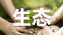 新民桥北侧口袋公园为延吉添新绿_fororder_移动版生态