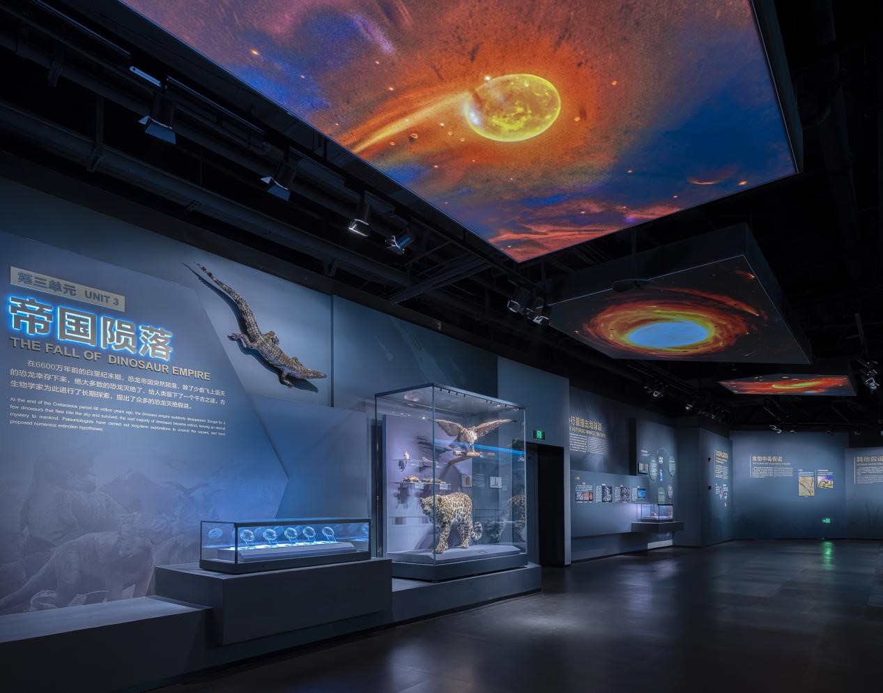 （张）喜讯连连 自贡恐龙博物馆捧回多个奖项_fororder_5恐龙探秘馆基本陈列