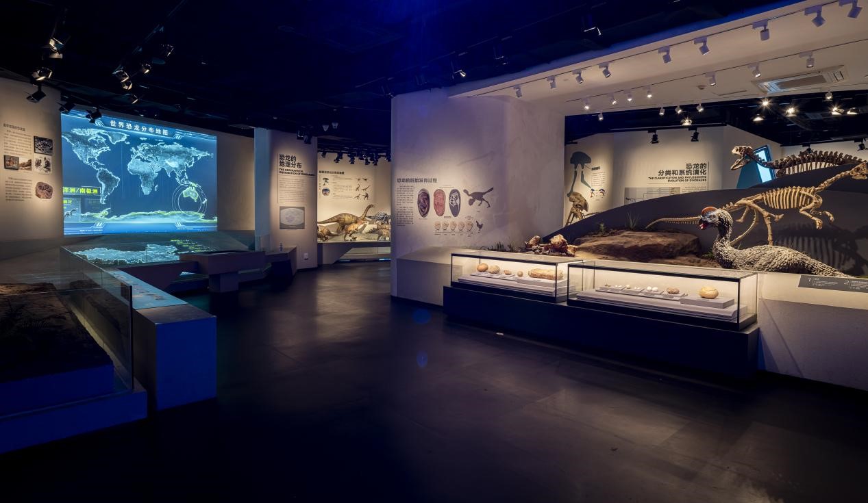 （张）喜讯连连 自贡恐龙博物馆捧回多个奖项_fororder_2恐龙探秘馆基本陈列