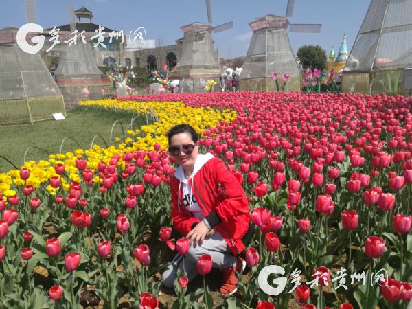 （旅遊）第三屆2018中國涼都鬱金香旅遊文化節3月24日開幕