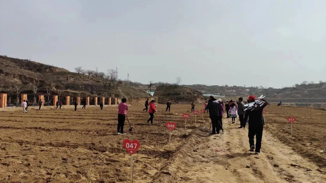 府谷縣新府山社區:搬遷群眾有了“菜園子” 過上幸福“好日子”_fororder_圖片38