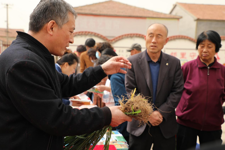 图片默认标题_fororder_图片72