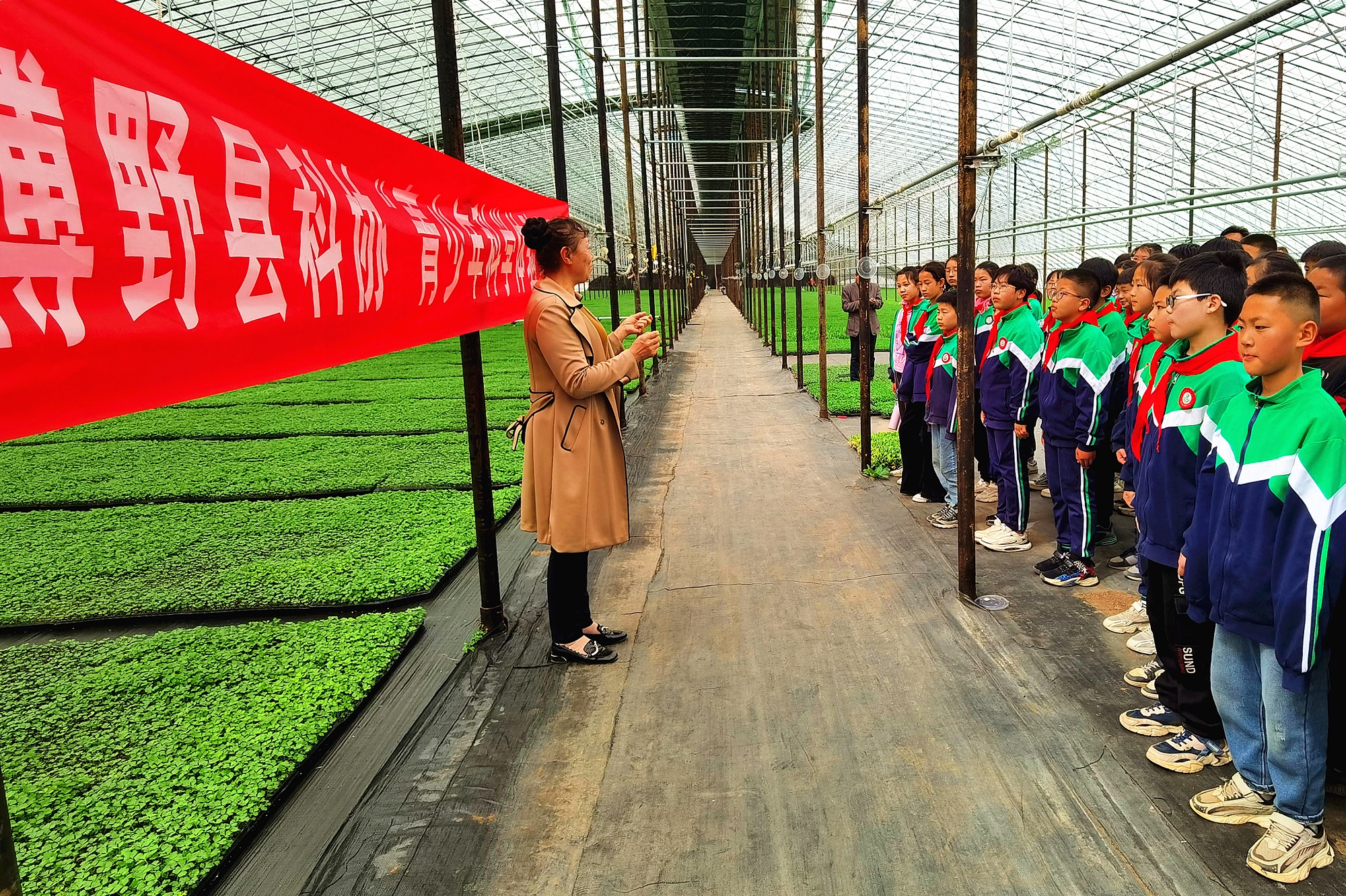 图片默认标题_fororder_2