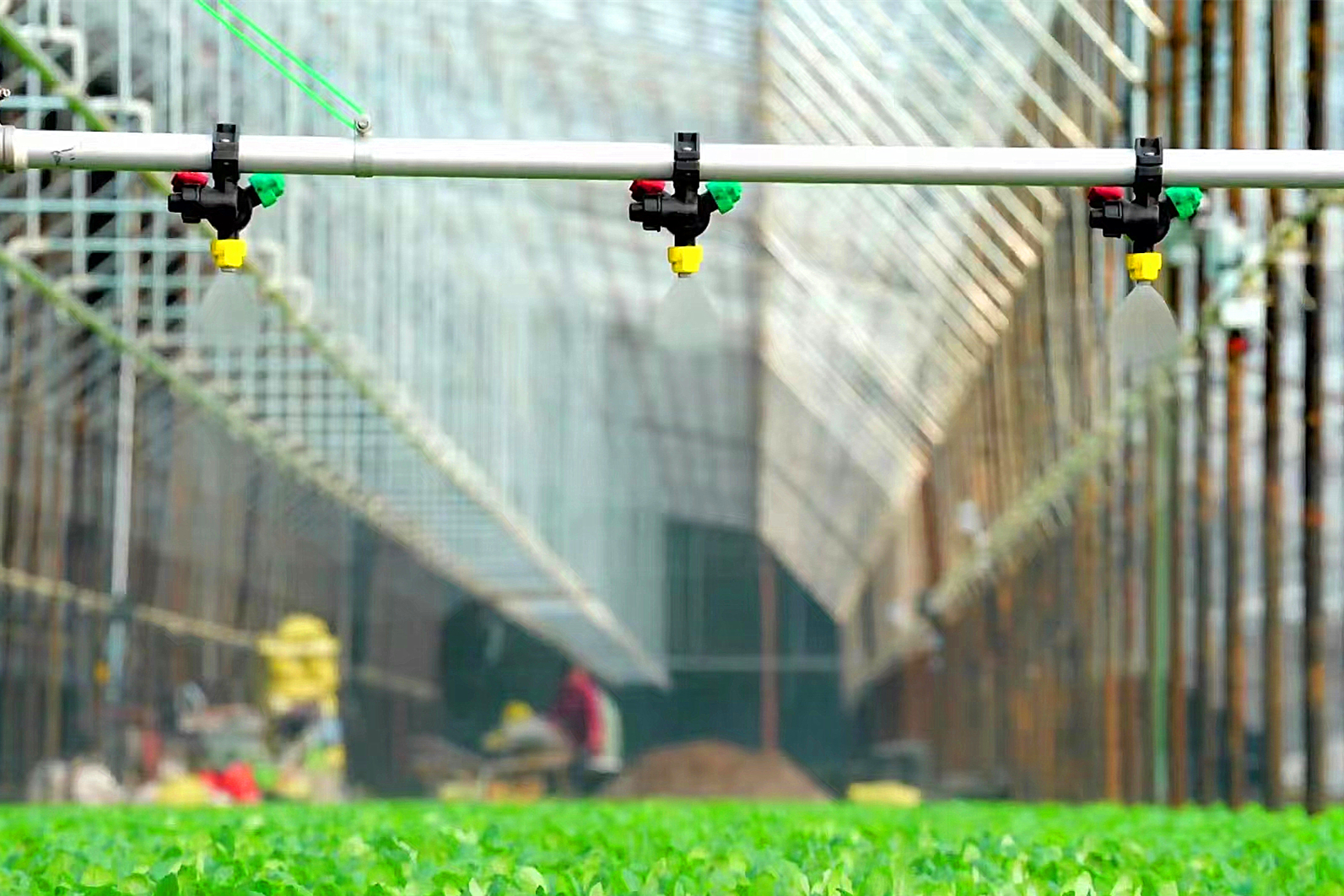 图片默认标题_fororder_4