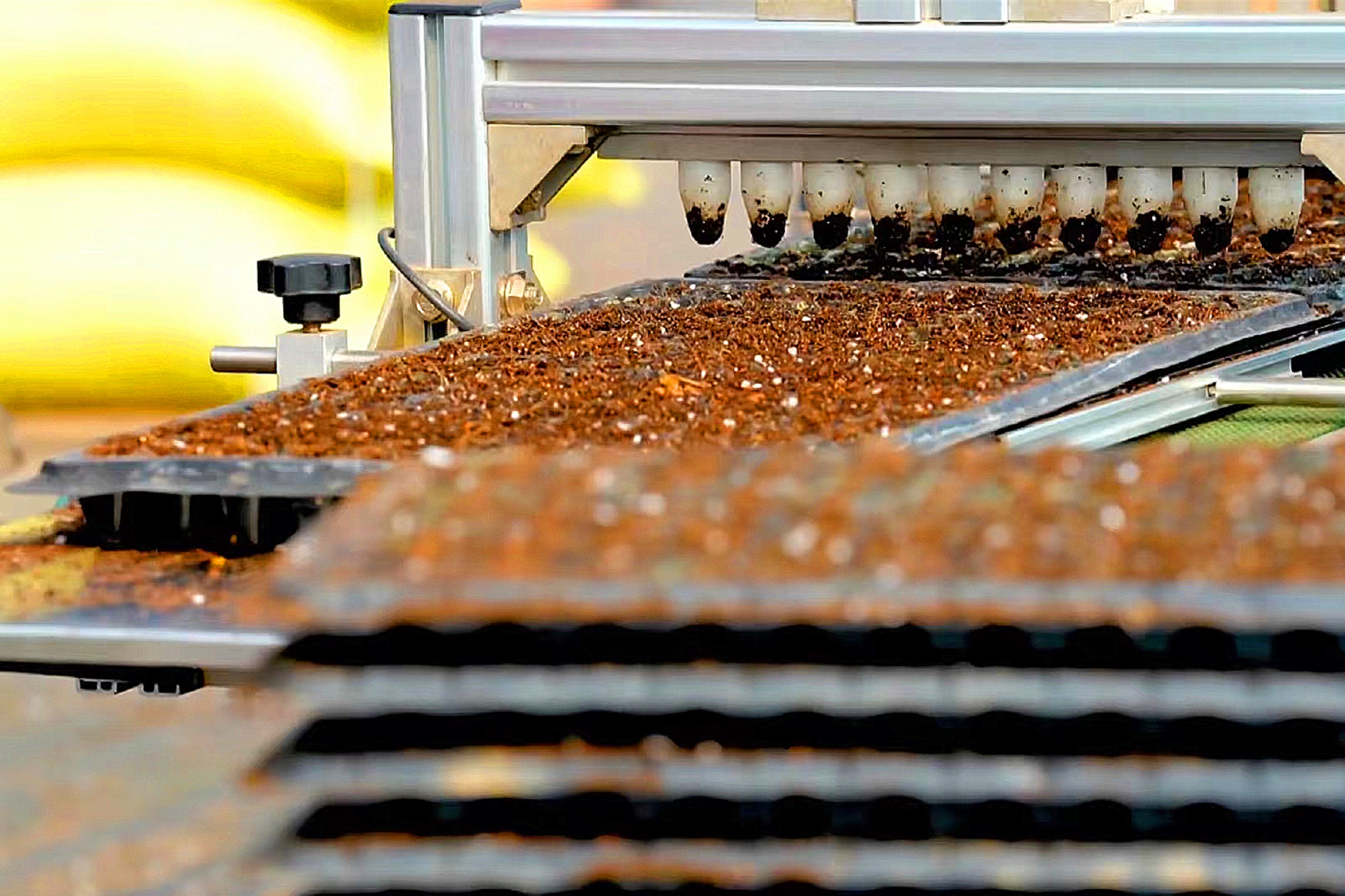 图片默认标题_fororder_6