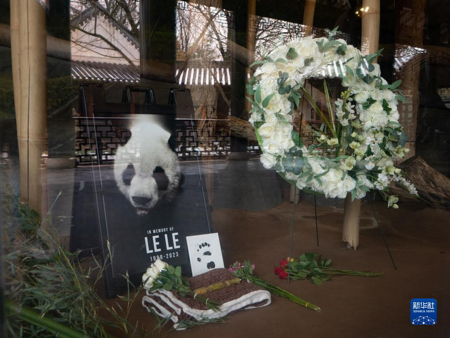 旅美大熊猫“乐乐”去世 Giant Panda “Le Le” Dies at Memphis Zoo   2月4日，美国田纳西州孟菲斯动物园摆放的纪念大熊猫“乐乐”的照片和鲜花。 摄影 亚当 Photos of Le Le and flowers are displayed at the Memphis Zoo in Memphis, Tennessee, the United States on February 4. [Photo by Adam]  2月4日，在美国田纳西州孟菲斯动物园，市民在大熊猫“乐乐”的照片前悼念。 摄影 亚当 People mourn in front of a picture of giant panda Le Le at the Memphis Zoo in Memphis, Tennessee, the United States on February 4. [Photo by Adam]   2月4日，在美国田纳西州孟菲斯动物园，市民在大熊猫“乐乐”的照片前悼念。摄影 亚当 People mourn in front of a picture of giant panda Le Le at the Memphis Zoo in Memphis, Tennessee, the United States on February 4. [Photo by Adam]    2月4日，在美国田纳西州孟菲斯动物园，市民在大熊猫“乐乐”的照片前悼念。摄影 亚当 People mourn in front of a picture of giant panda Le Le at the Memphis Zoo in Memphis, Tennessee, the United States on February 4. [Photo by Adam]  美国田纳西州孟菲斯动物园2月3日宣布，旅美雄性大熊猫“乐乐”去世。 Le Le, a male giant panda who lived in the United States, had died, the Memphis Zoo in Tennessee announced on February 3._fororder_图片12