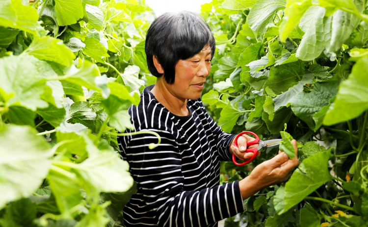 图片默认标题_fororder_图片5